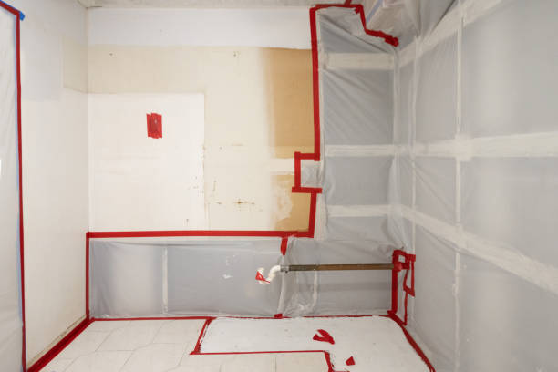 Best Basement Mold Removal  in North Little Rock, AR